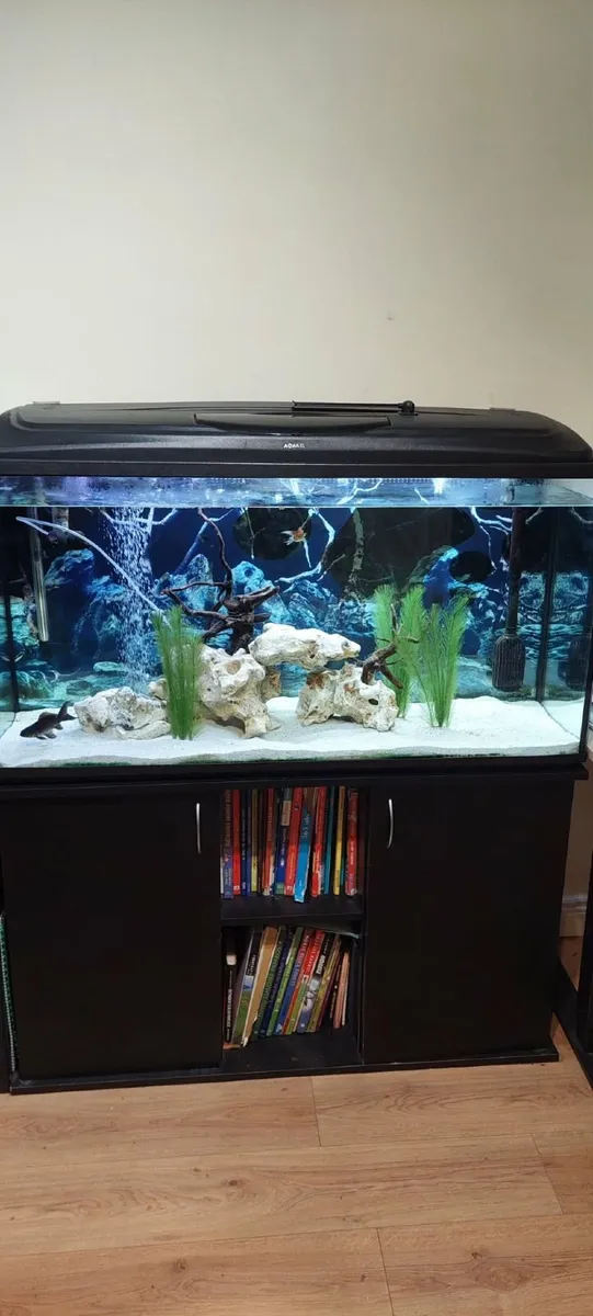 Fish tank - Image 2