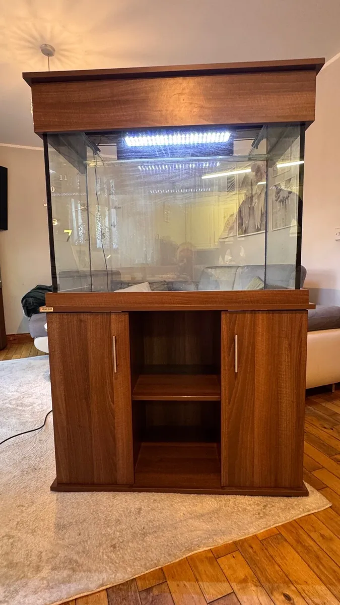 Fish tank Clearseal 240l - Image 2