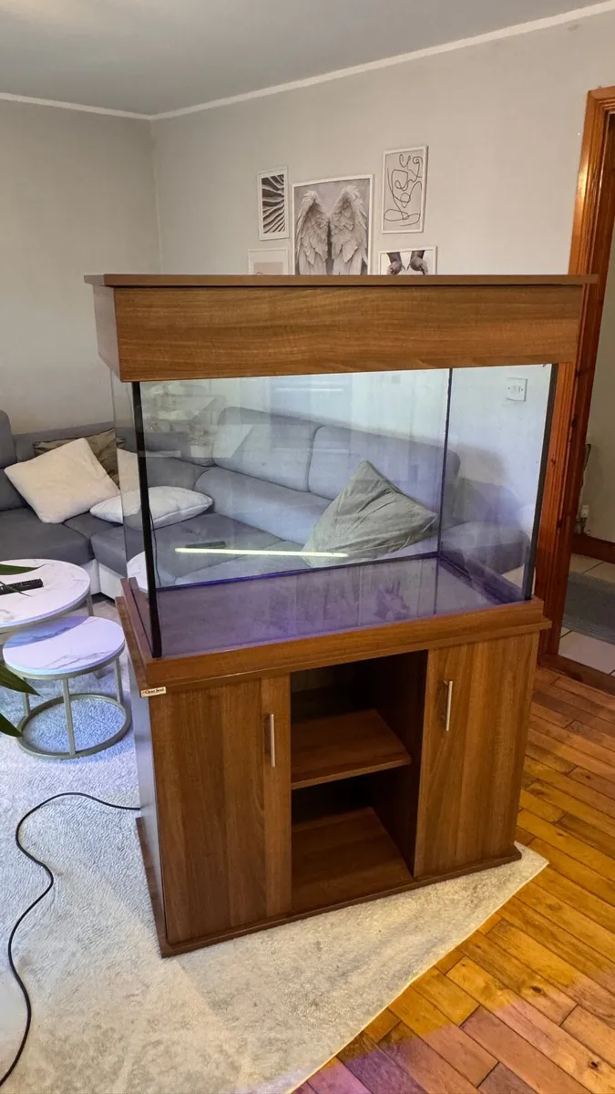 Fish tank Clearseal 240l - Image 1