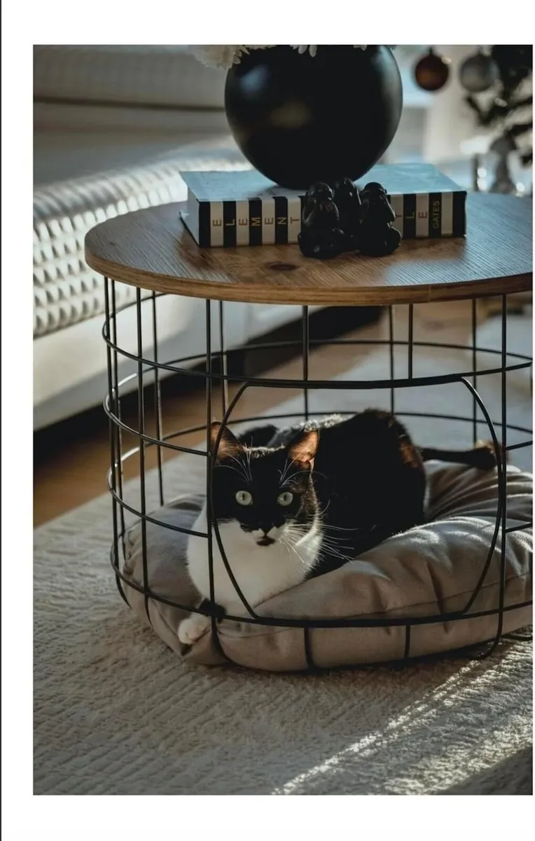 Coffee Table with Cat House Modern 2-In-1 Side - Image 4