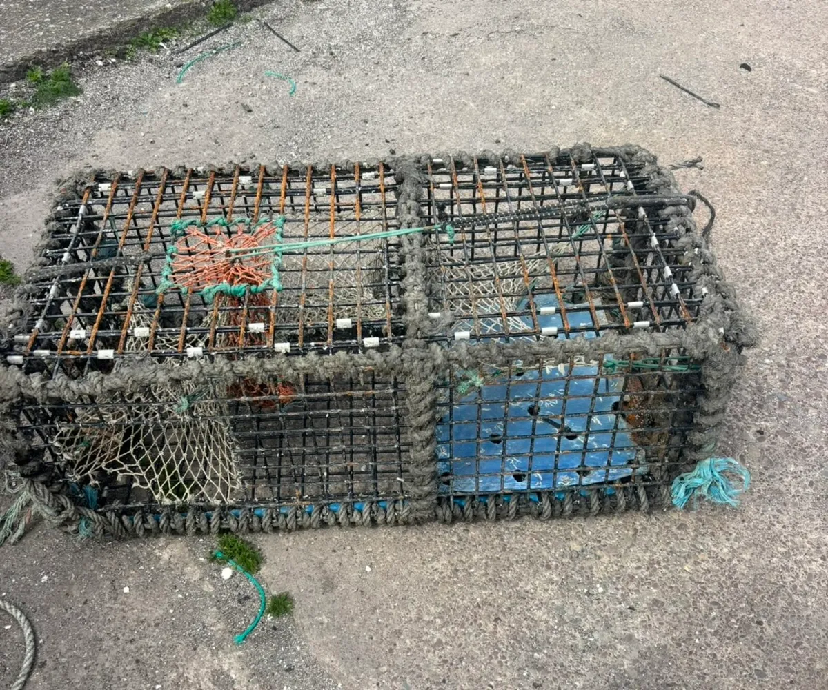 Lobster pots - Image 1
