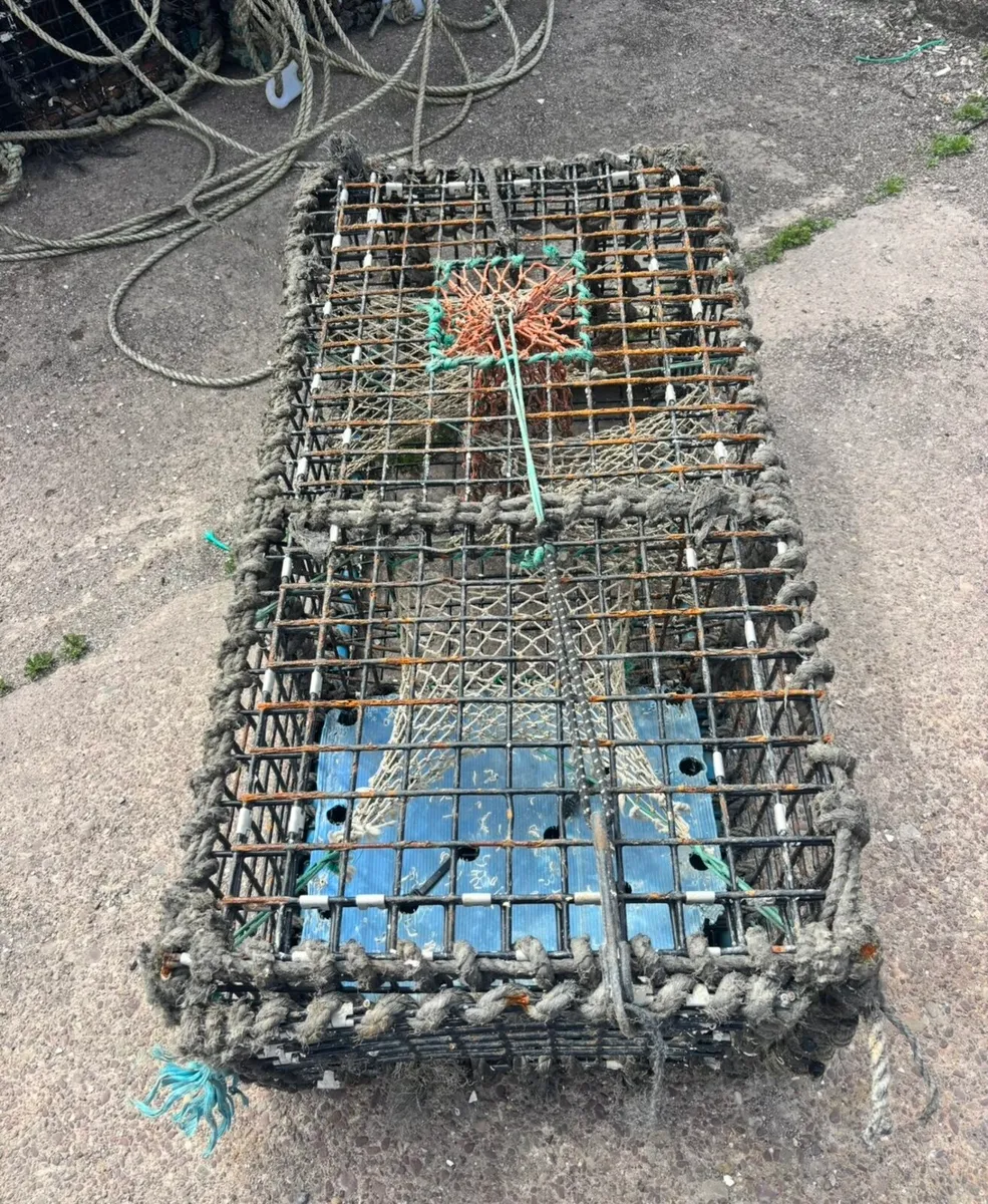 Lobster pots - Image 2