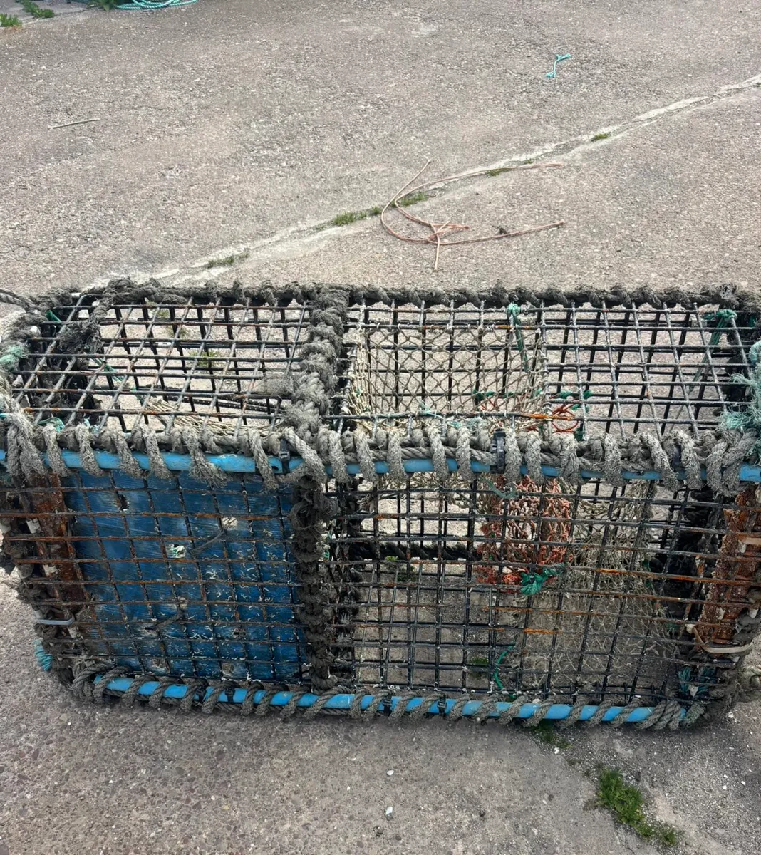 Lobster pots - Image 3