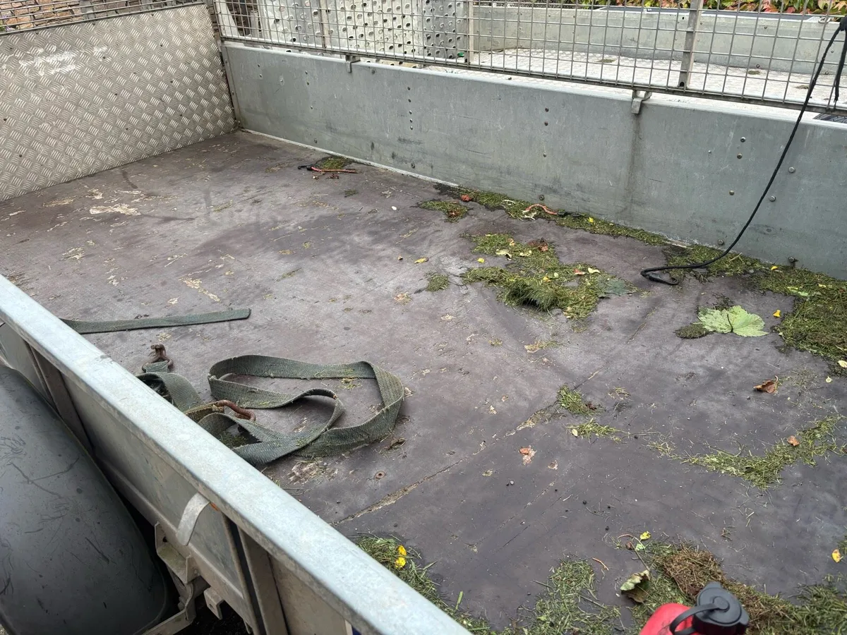 Ifor Williams trailer GD105 for sale - Image 3