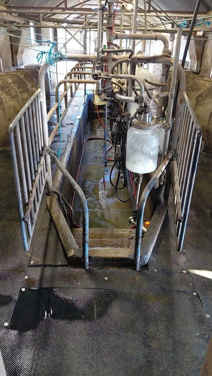 8 unit milking parlour - Image 1