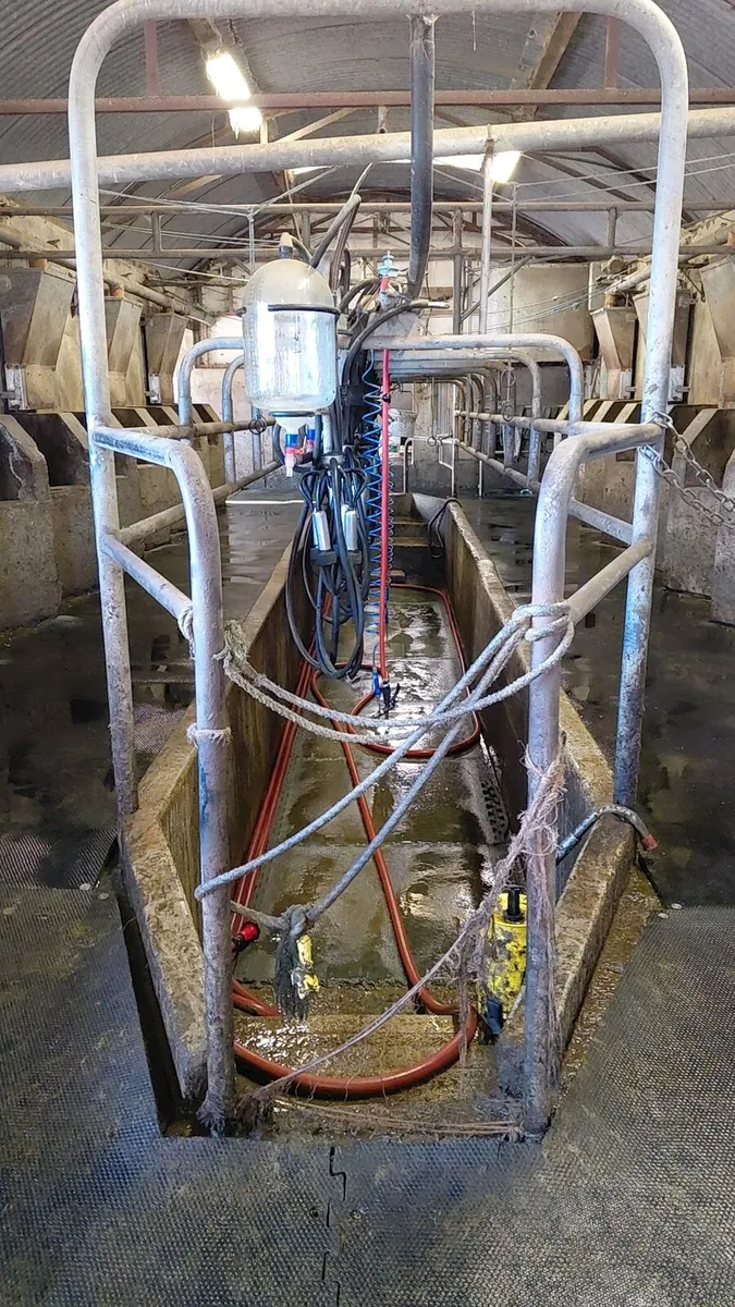 8 unit milking parlour - Image 4