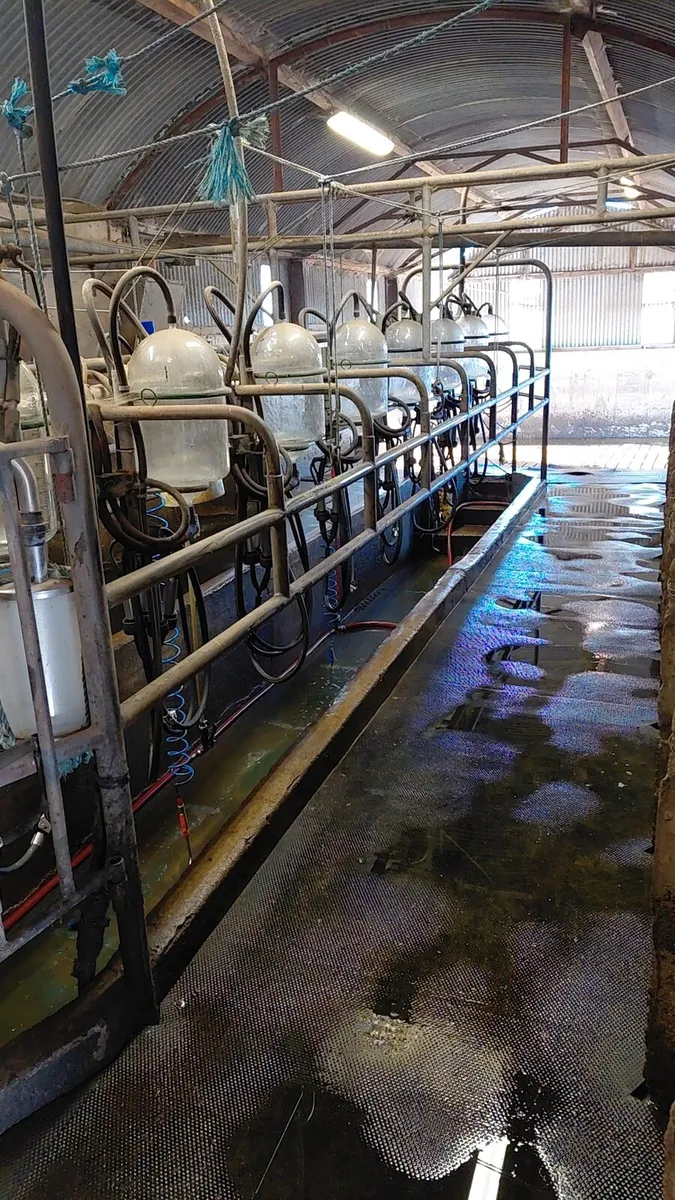 8 unit milking parlour - Image 2