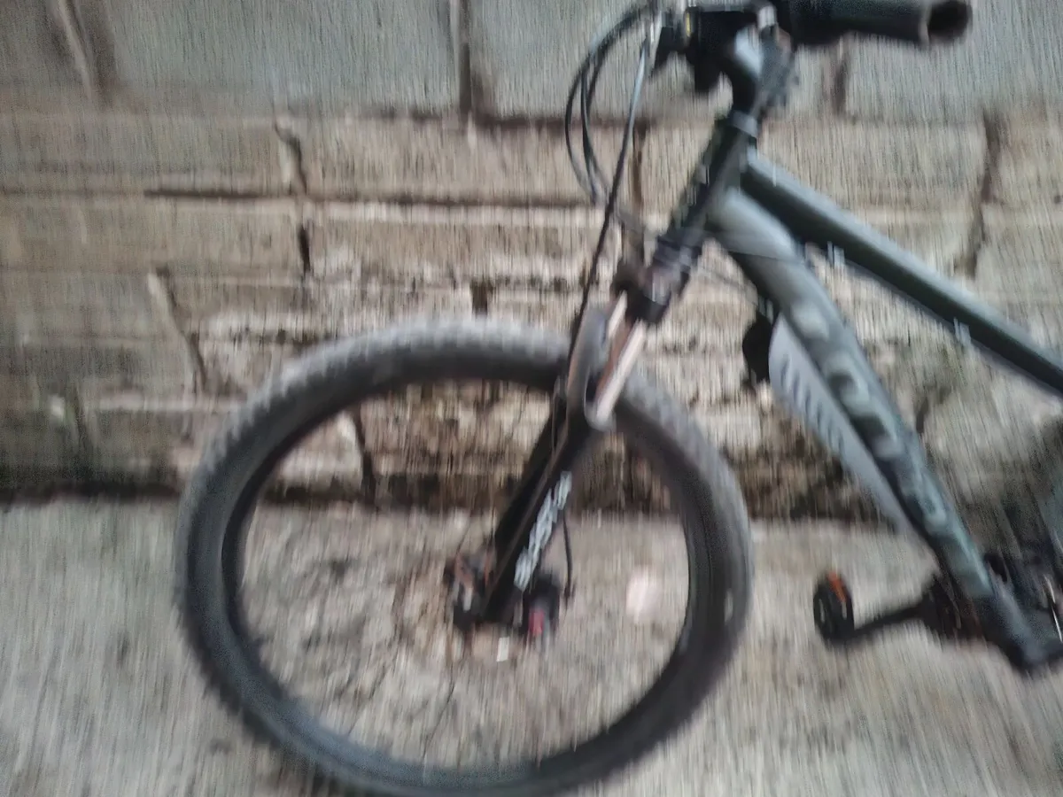 carrera blast mountain bike - Image 1