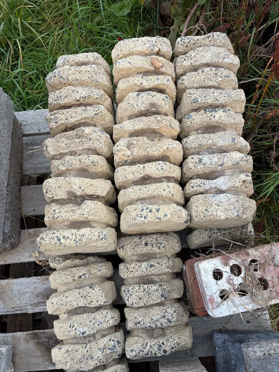 stones / garden edge decor etc - Image 1