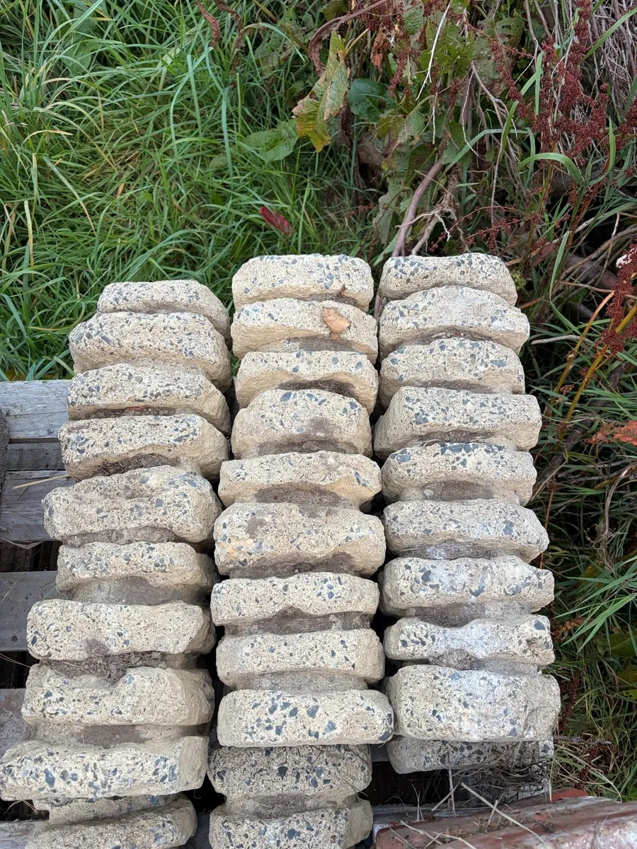 stones / garden edge decor etc - Image 2