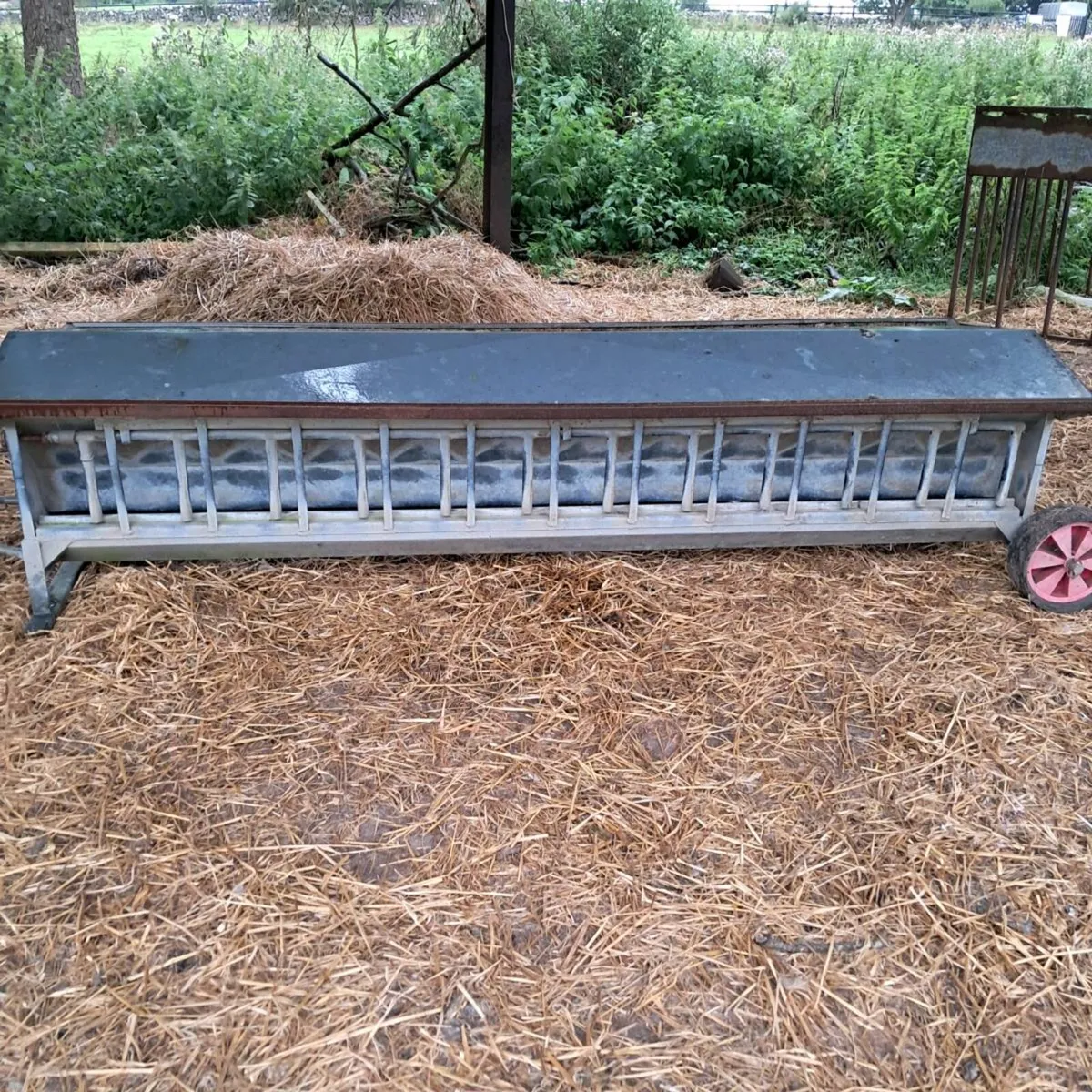 Cormac creep feeder - Image 3