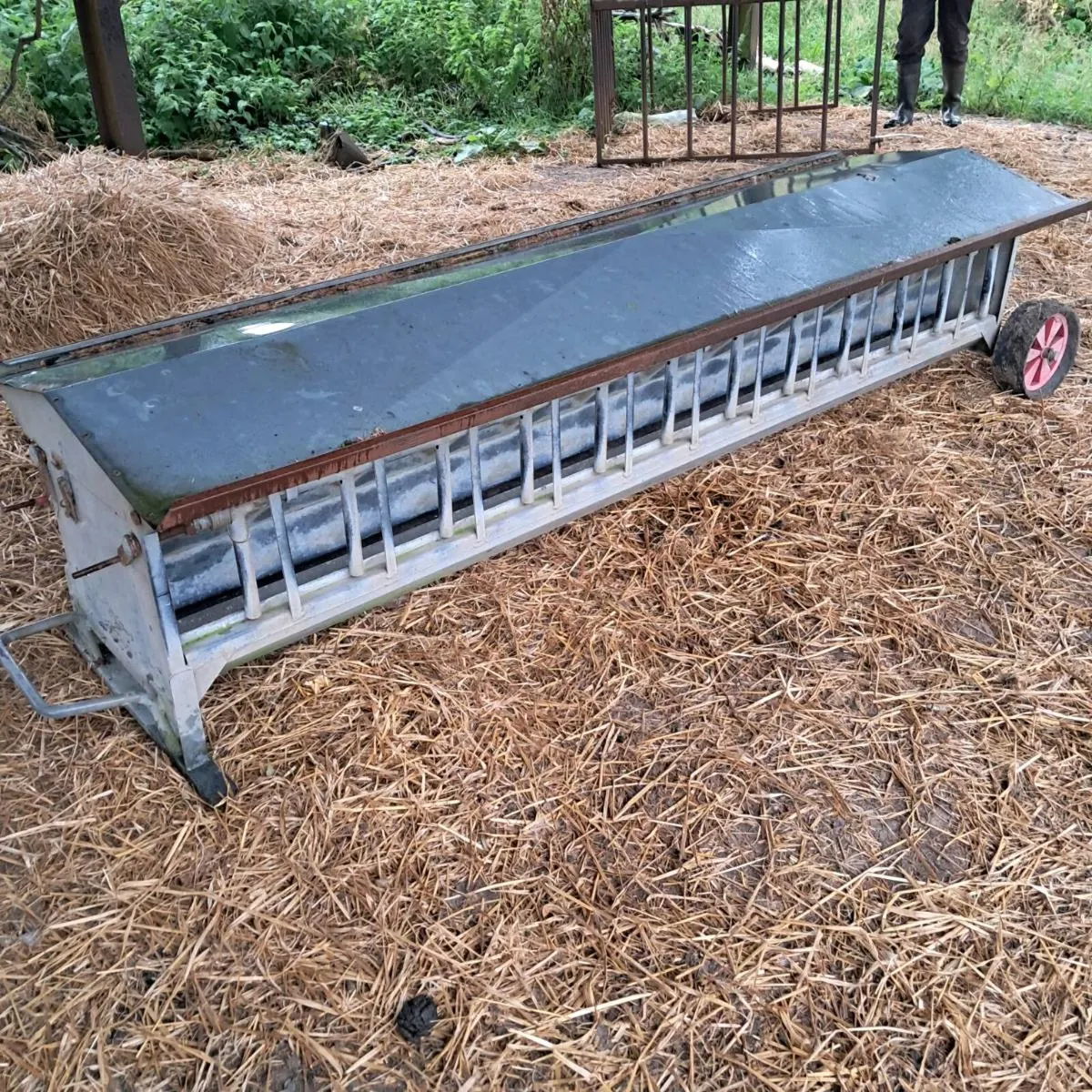 Cormac creep feeder - Image 4
