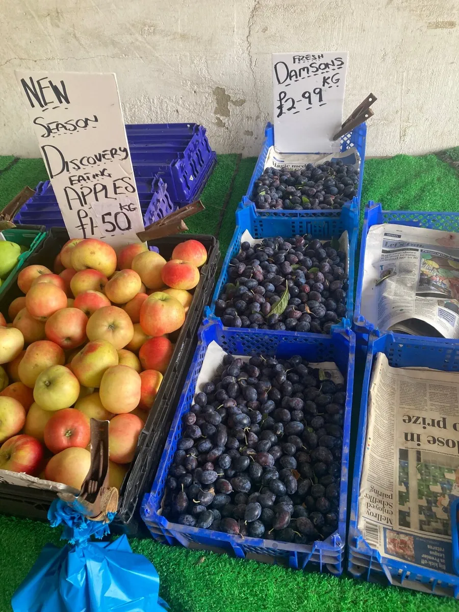 New Season Cooking &Eating Apples ,Damsons - Image 3