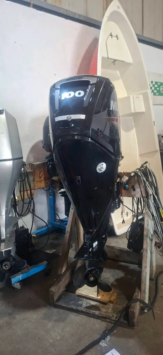 Mercury 100hp efi in Horsepower Workshop - Image 3
