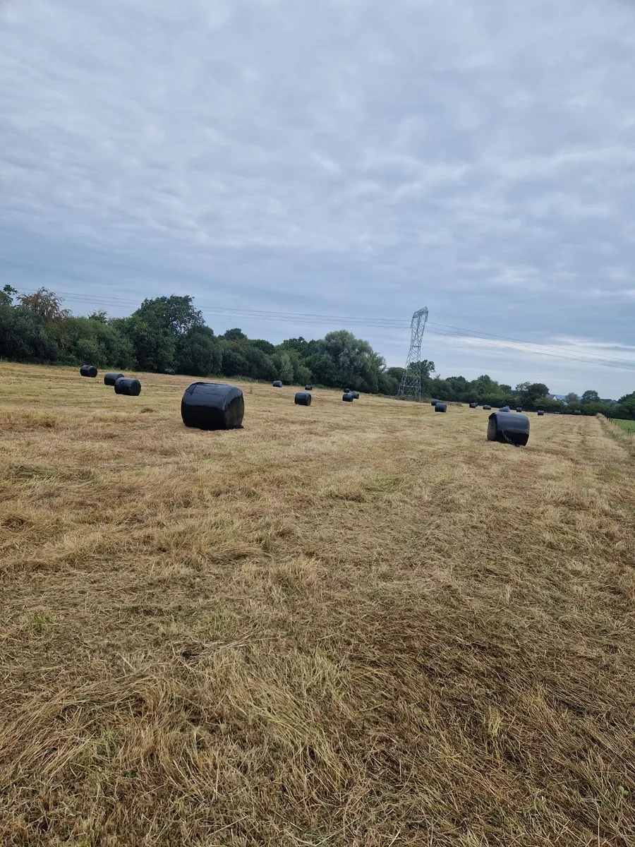 Silage