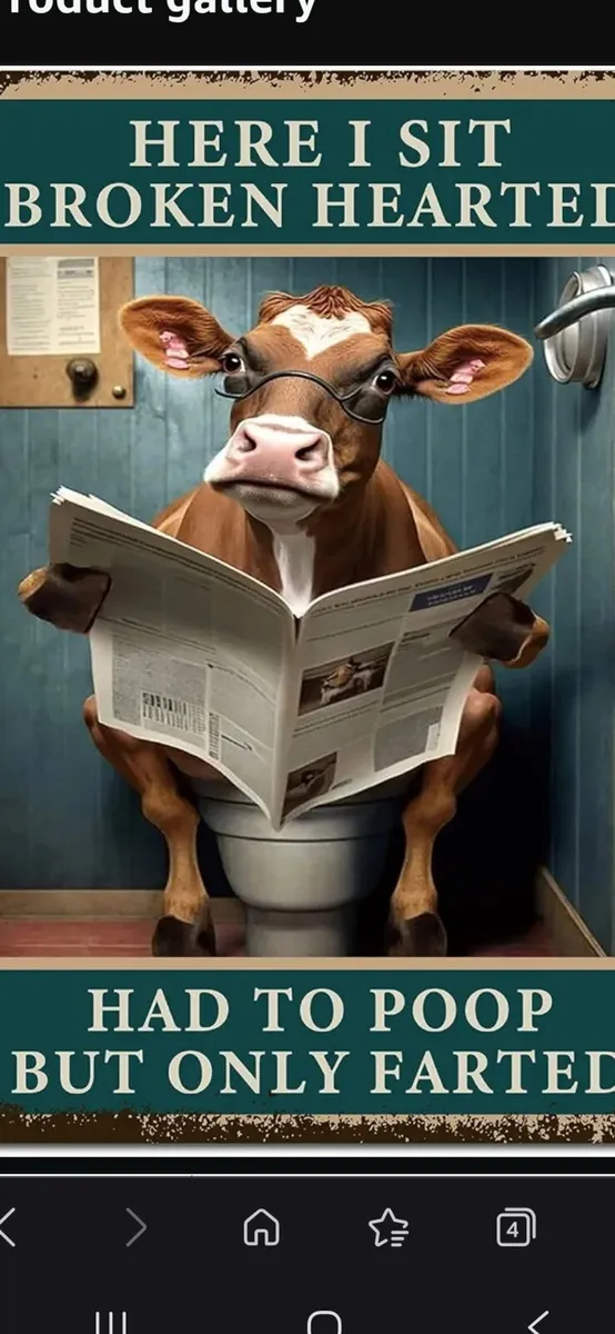 Cow