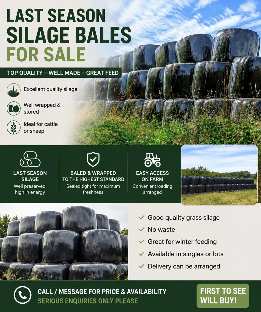 Silage Bales - Image 1