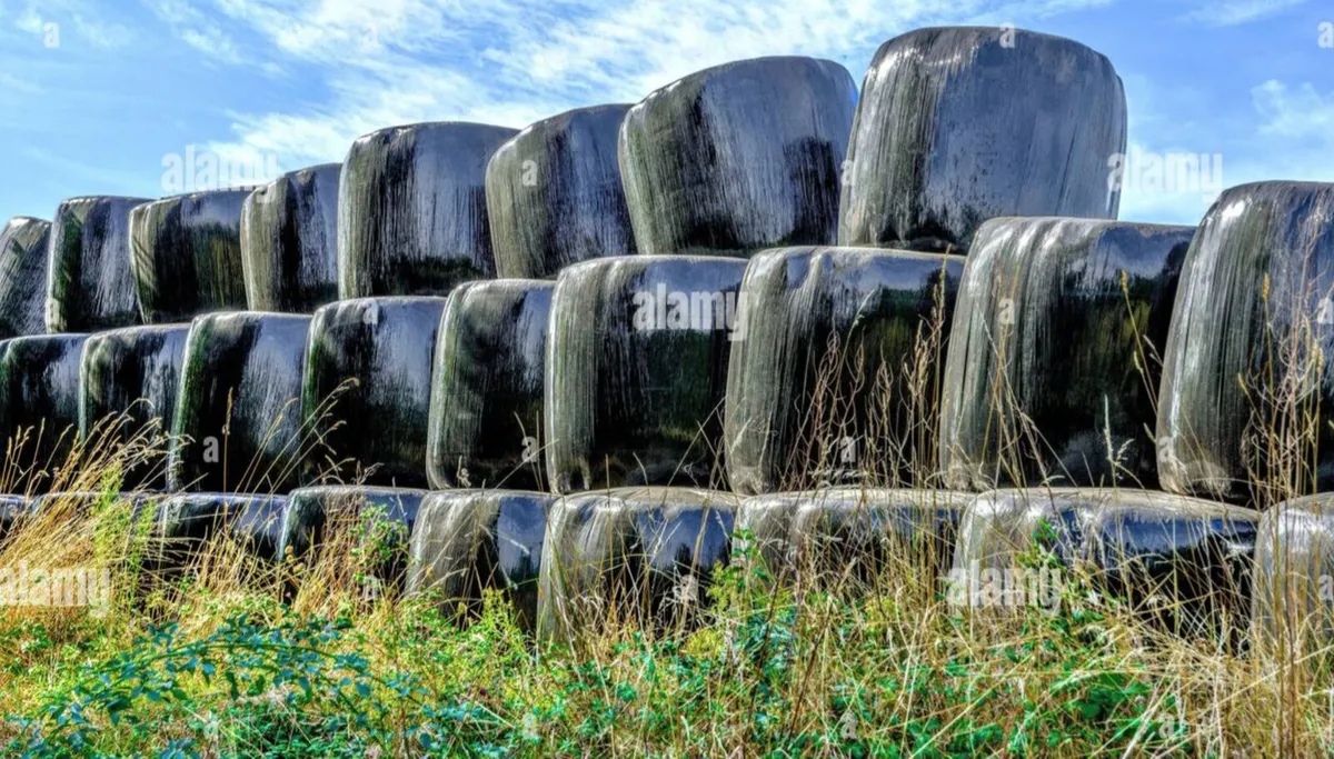 Silage Bales - Image 2
