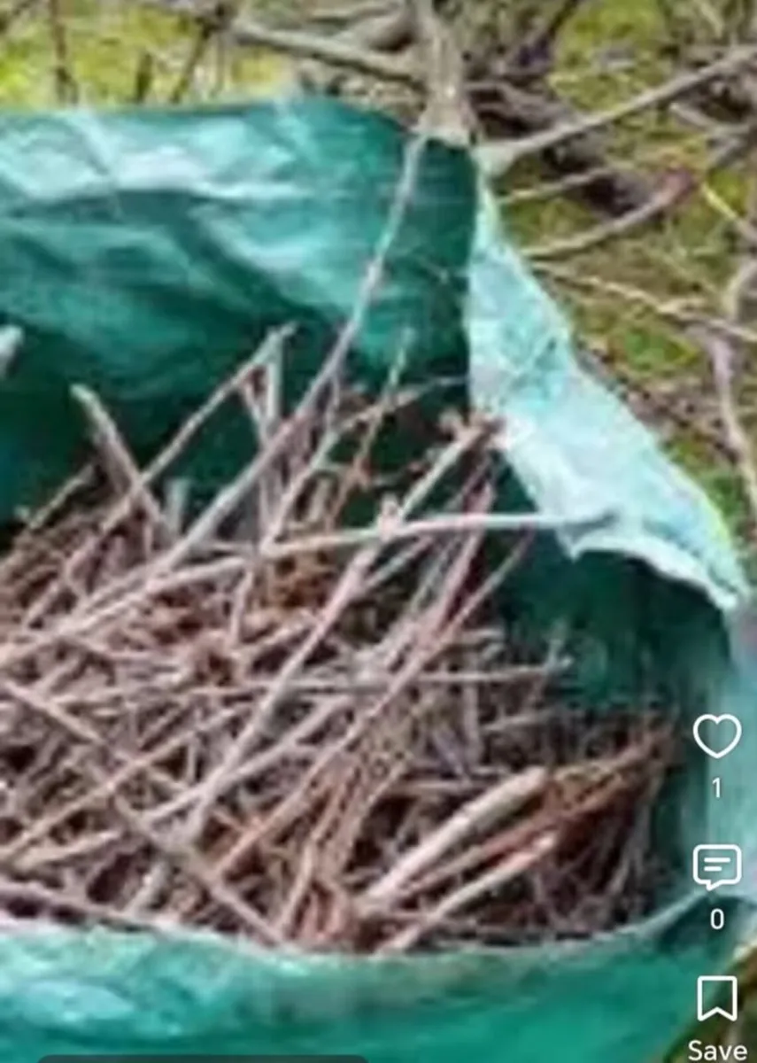 Rubbish removal - Image 4