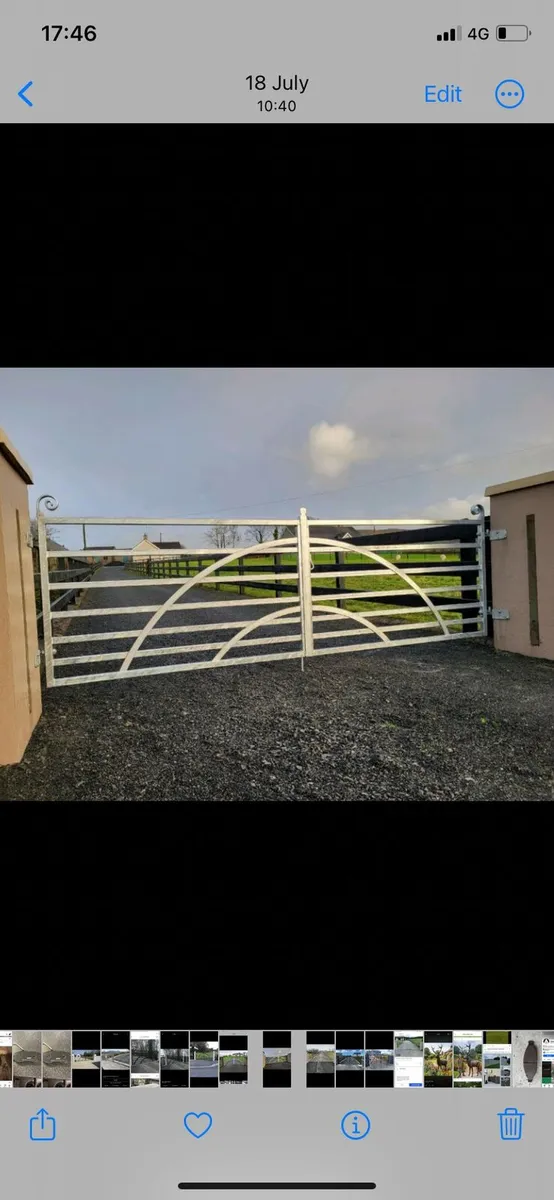 Rot iron gates - Image 4