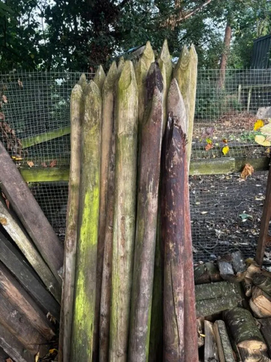 Treated fencing  posts