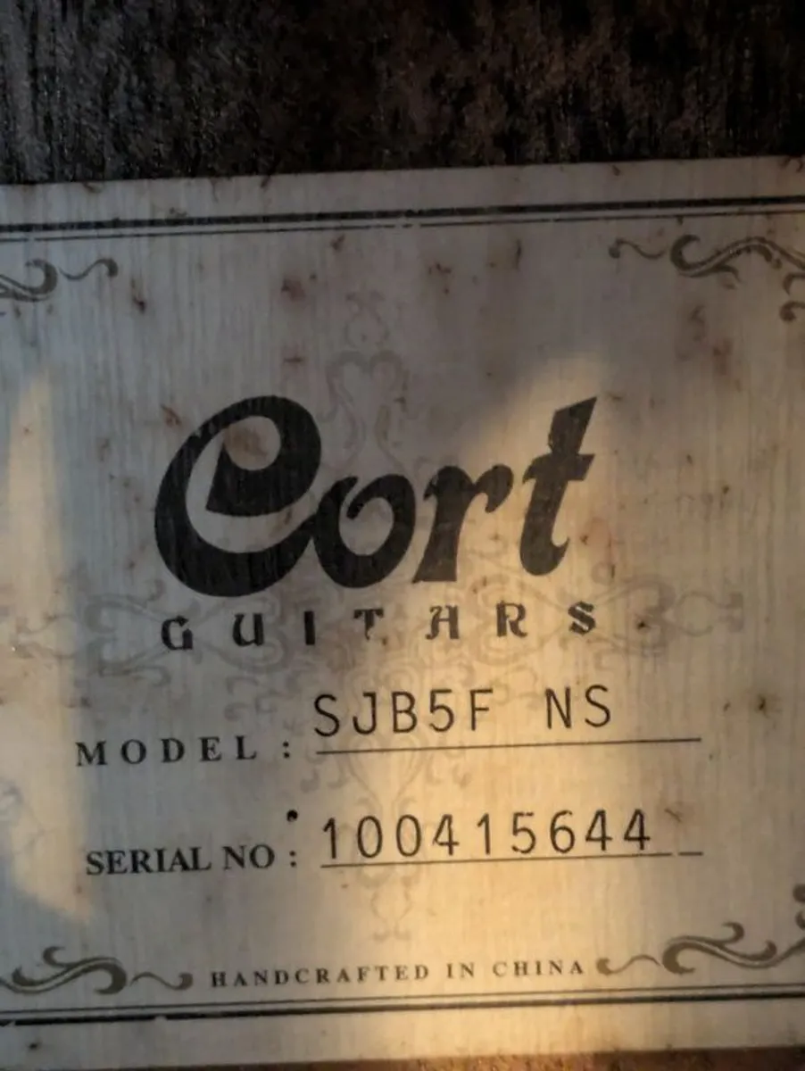 Cort acoustic bass - Image 2
