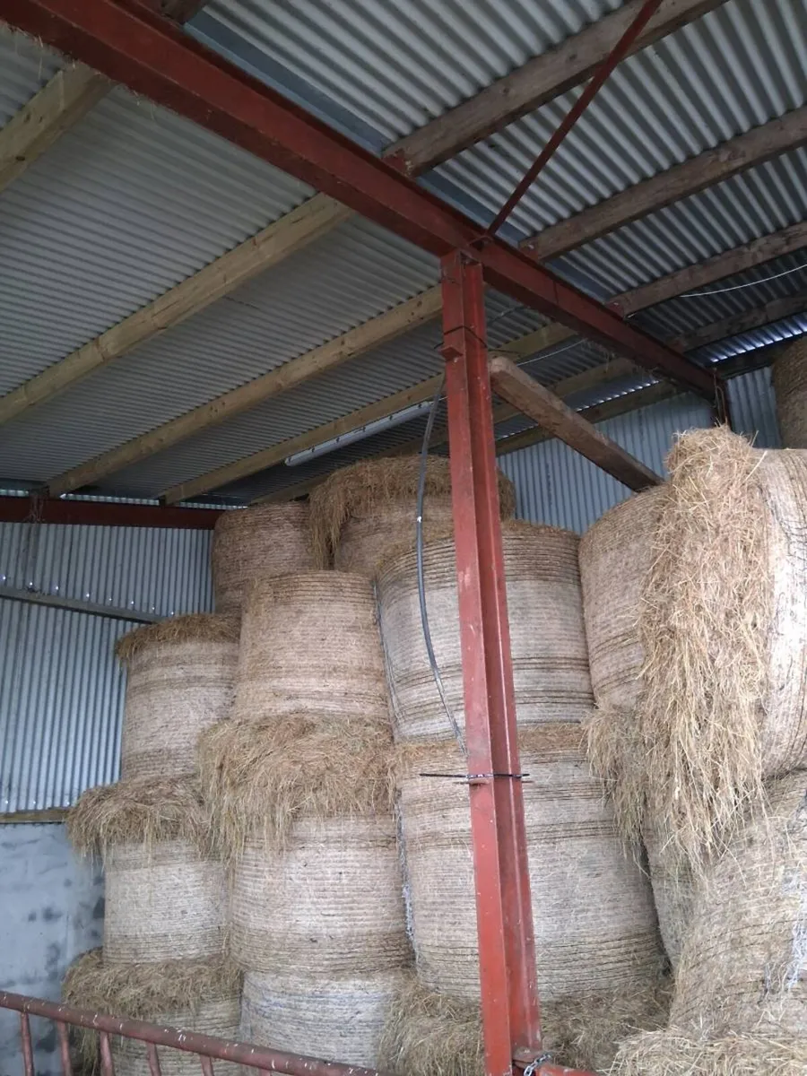 30 bales hay - Image 2