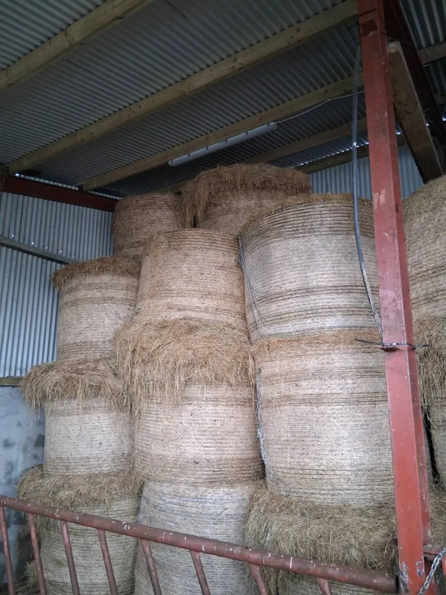 30 bales hay - Image 1