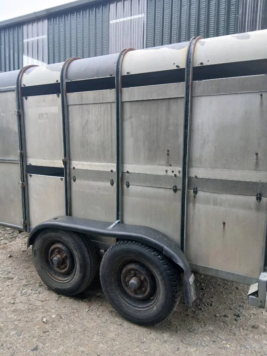 Ifor Williams 10ft x 5ft cow box - Image 3