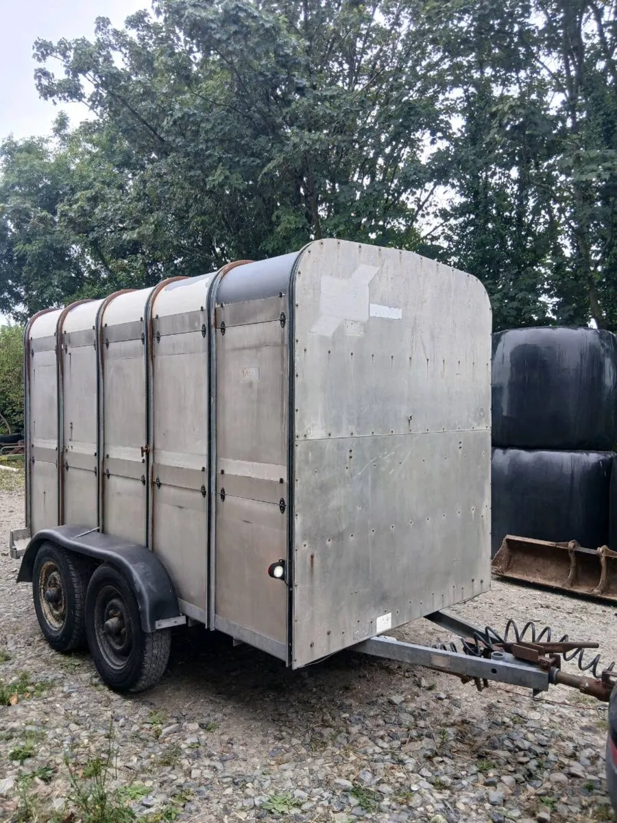 Ifor Williams 10ft x 5ft cow box - Image 1