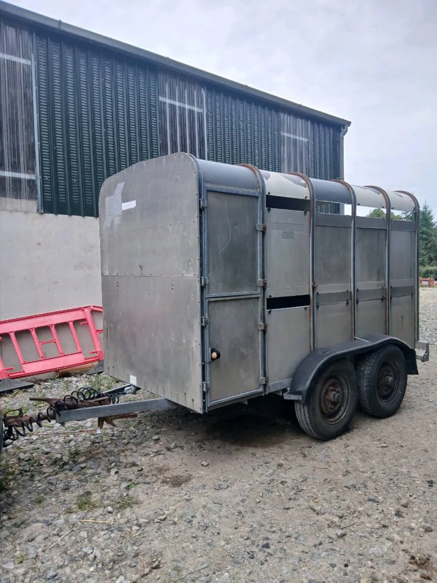 Ifor Williams 10ft x 5ft cow box - Image 2