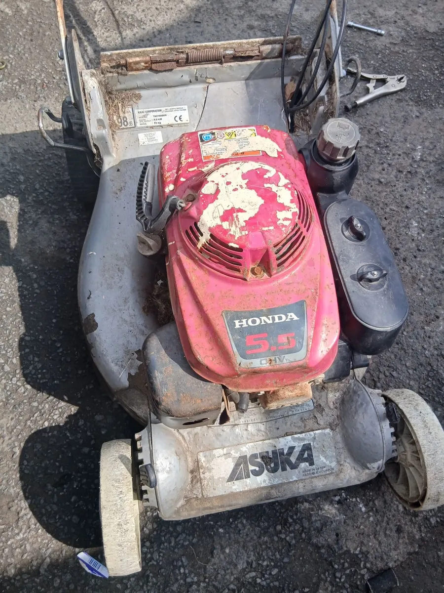 Asuka Honda 5.5 ohv self-drive read add - Image 2