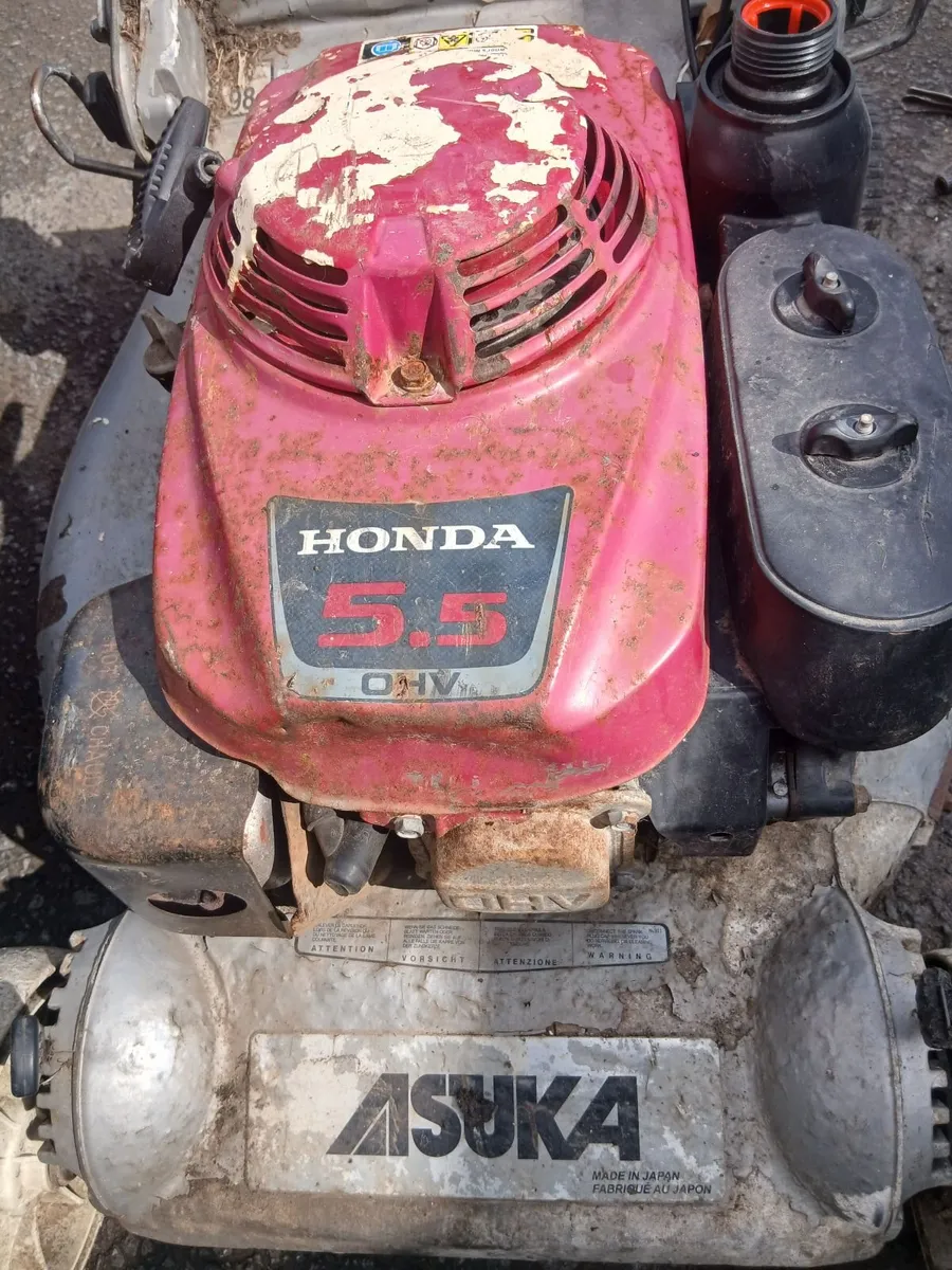 Asuka Honda 5.5 ohv self-drive read add - Image 3