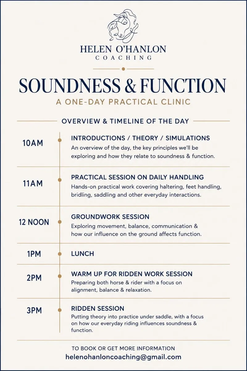 Soundness & Function – Horsemanship Clinic - Image 2