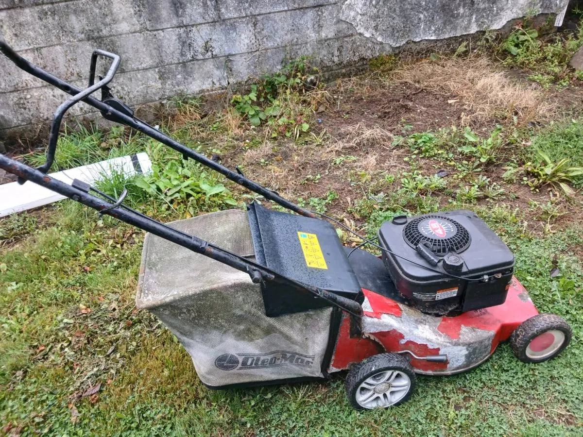 Petrol lawnmower - Image 2