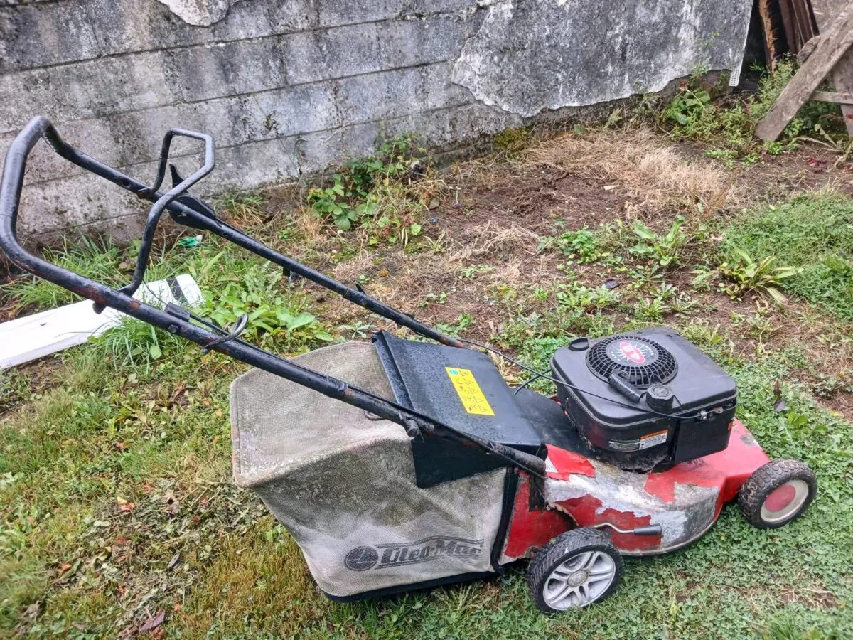 Petrol lawnmower - Image 3