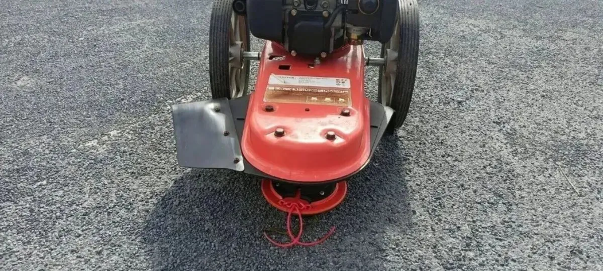 HEAVY DUTY WALK BEHIND STRIMMER FOR HIRE - Image 3