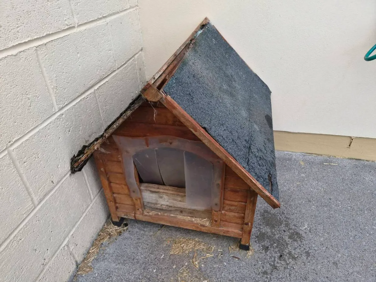 3 Dog Kennels Free To Take - Image 2