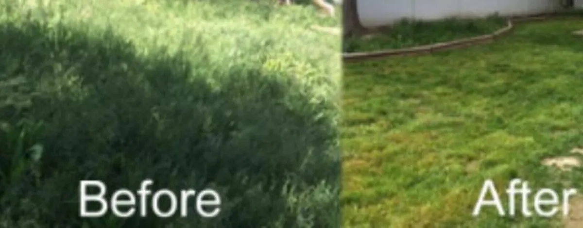 Cork landscaping service Fully Insured w/Liability