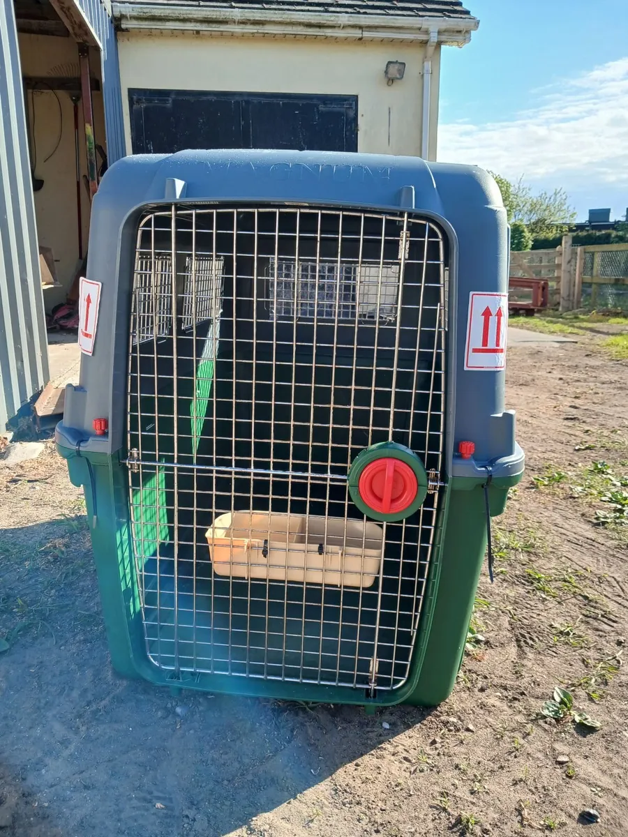 Dog transport box - Image 1