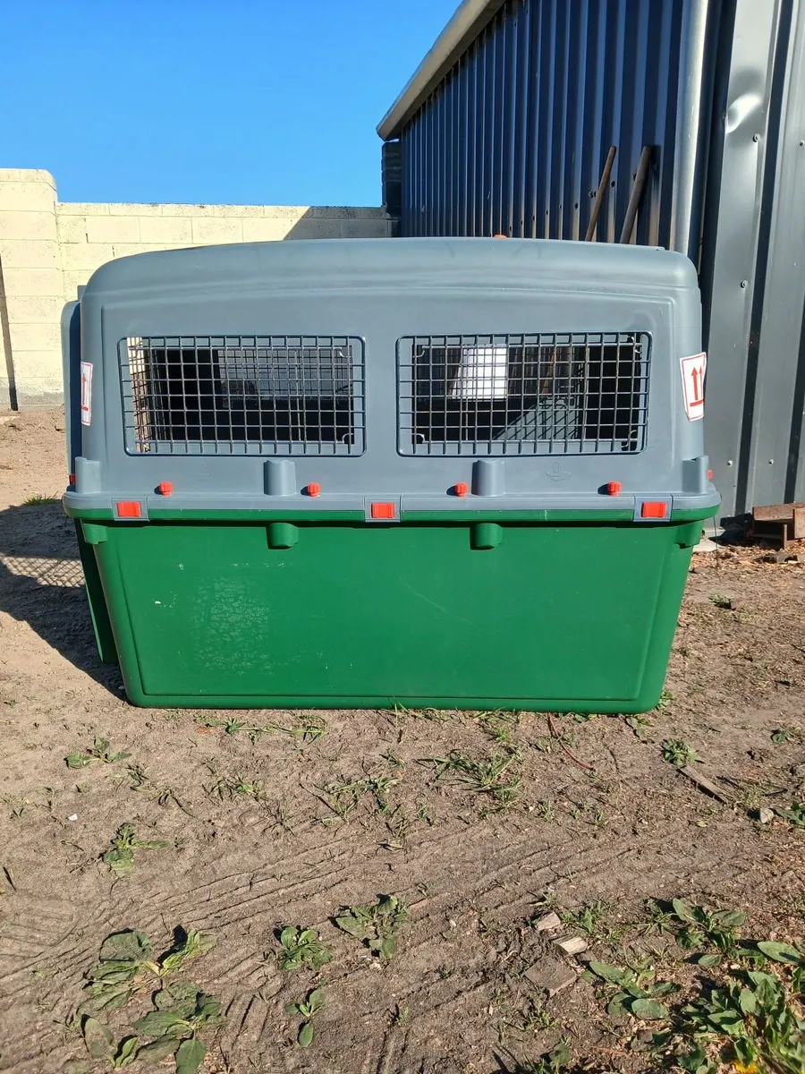 Dog transport box - Image 2