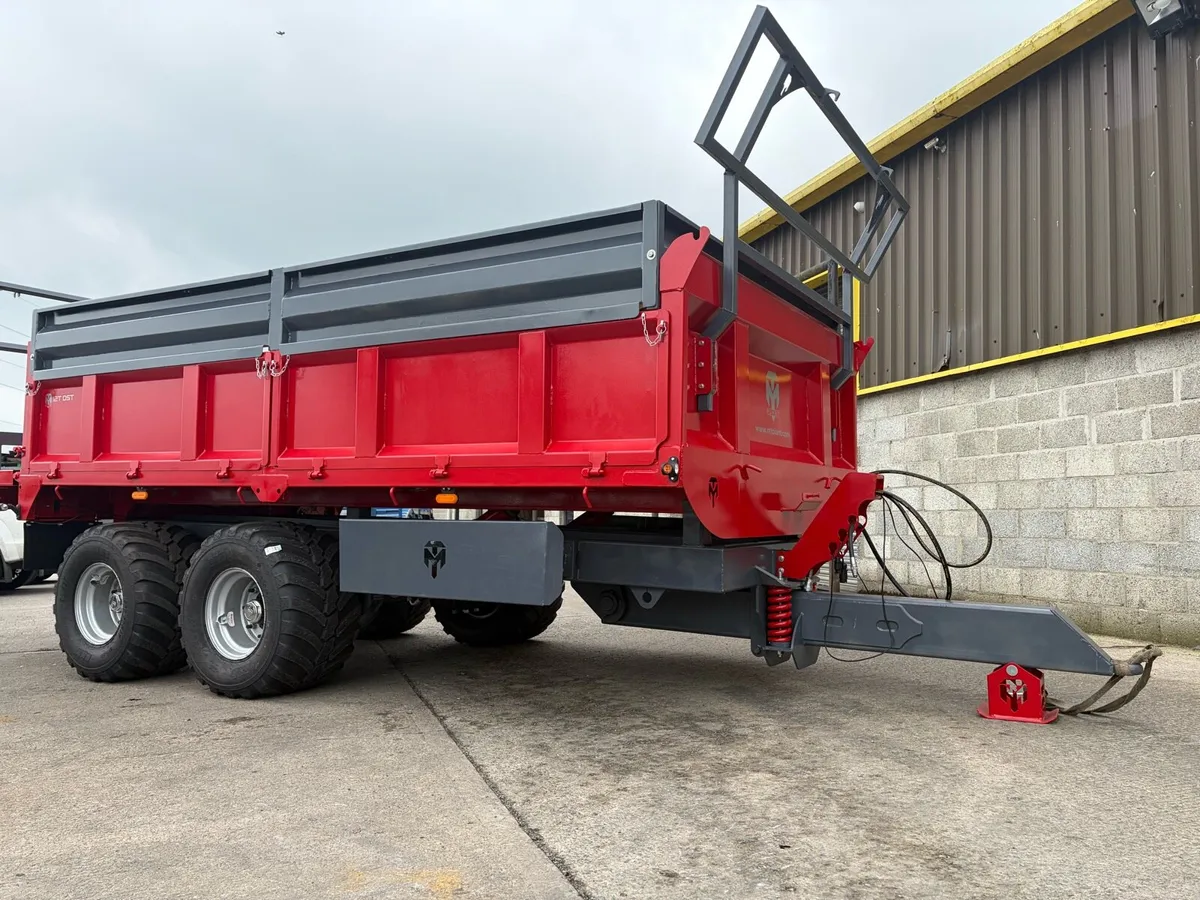 M T Plant 12ton dropside 15x8 - Image 2