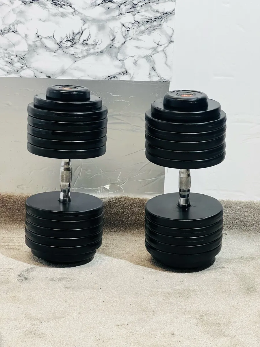 120KG TOP QUALITY DUMBBELLS 2 X 60 KG - Image 1