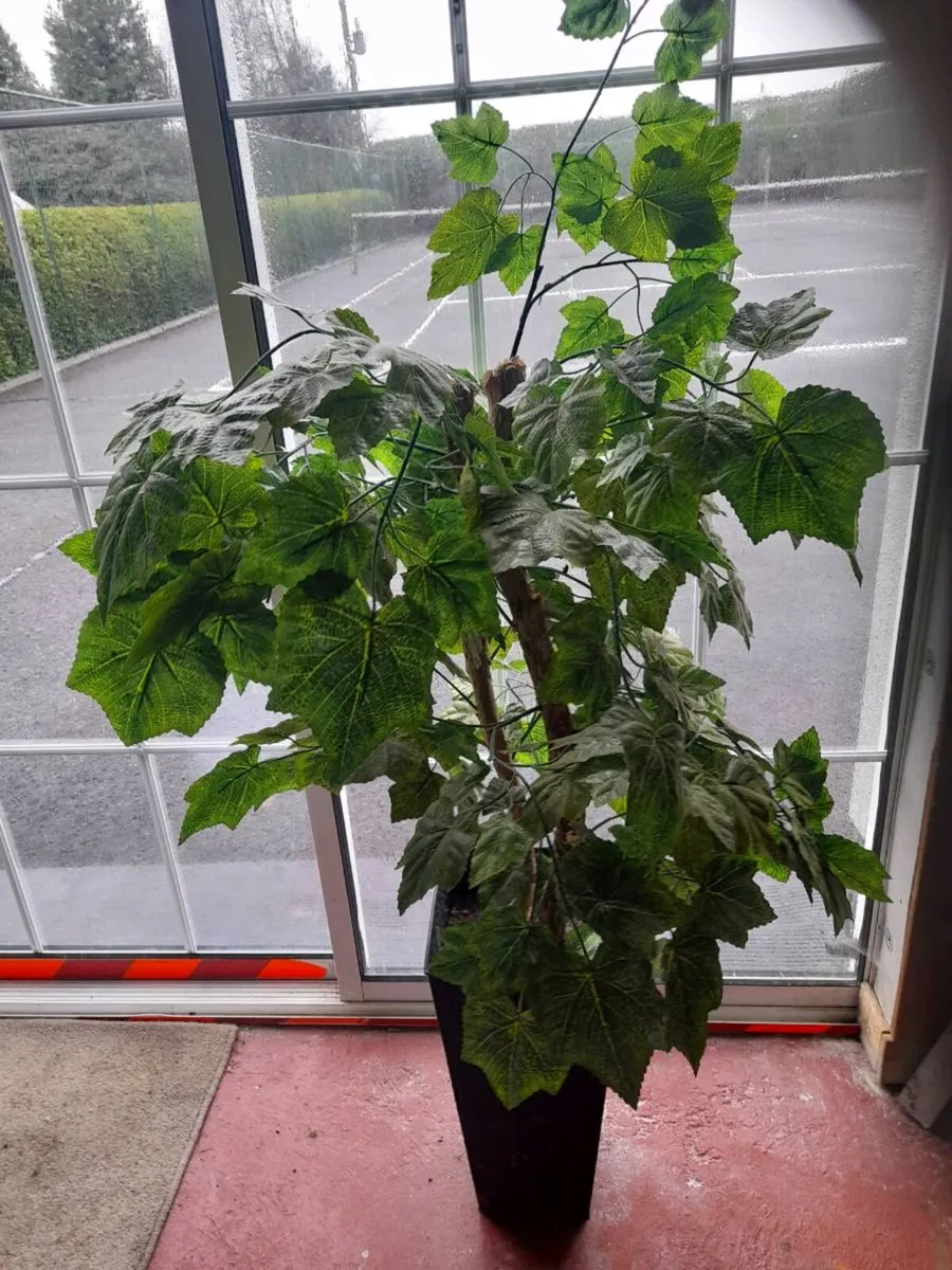 Artifical plants - Image 1