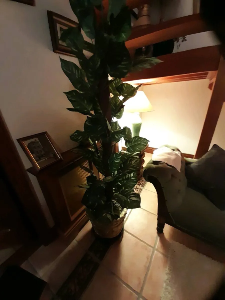 Artifical plants - Image 4
