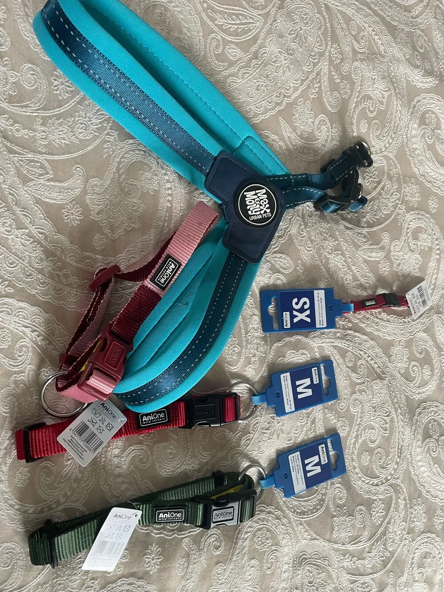 Dog collars