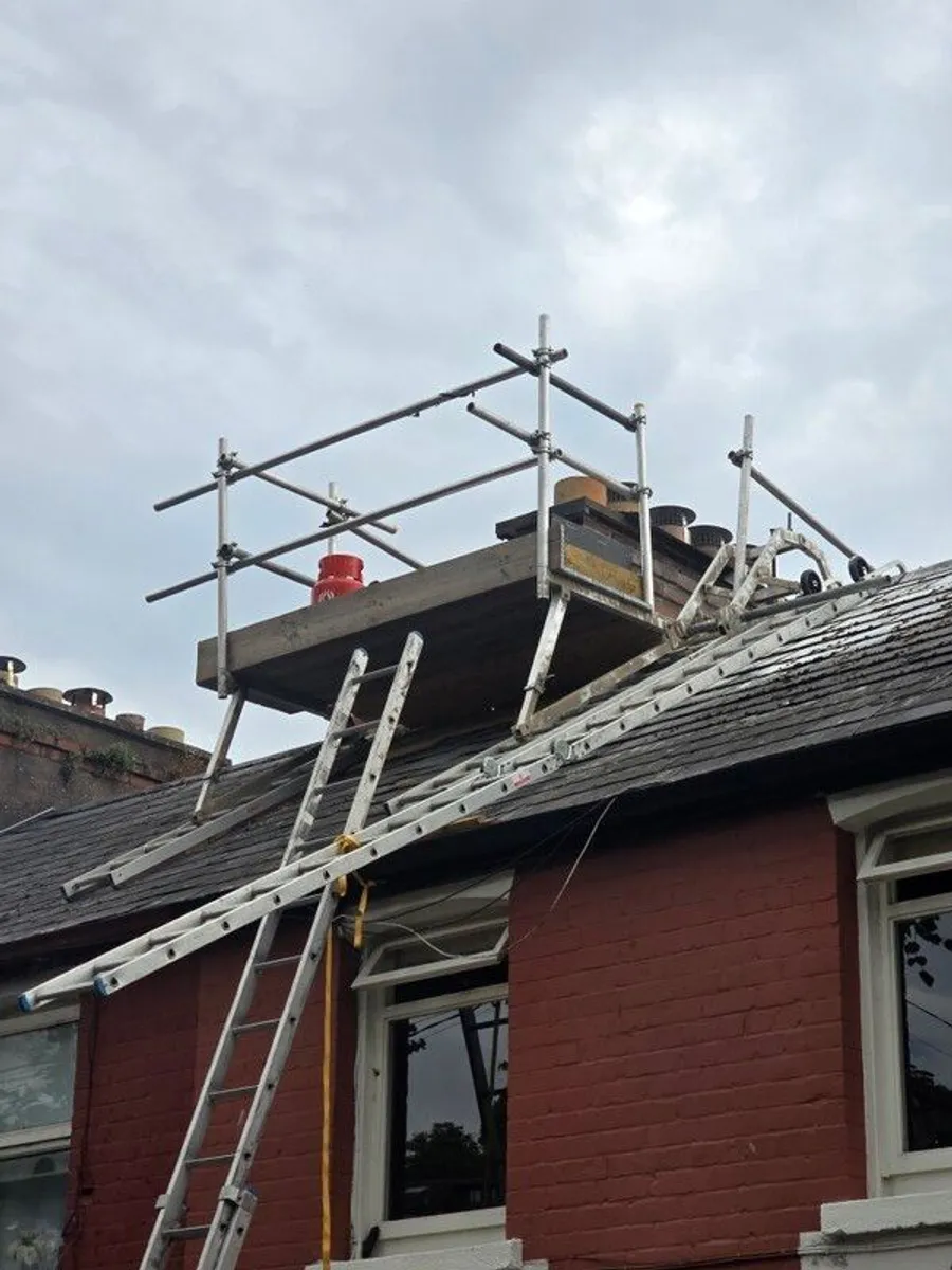 roof ladder platform - Image 3