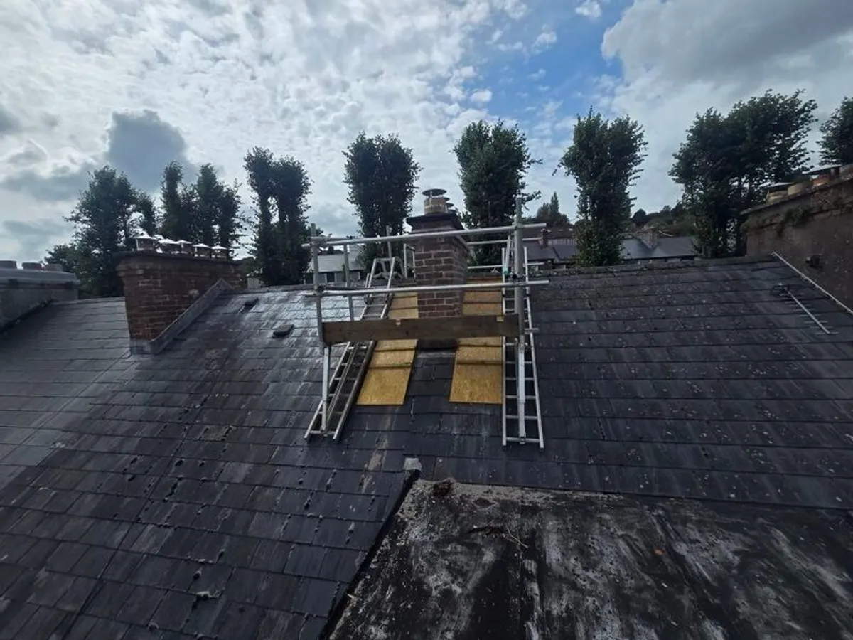 roof ladder platform - Image 4