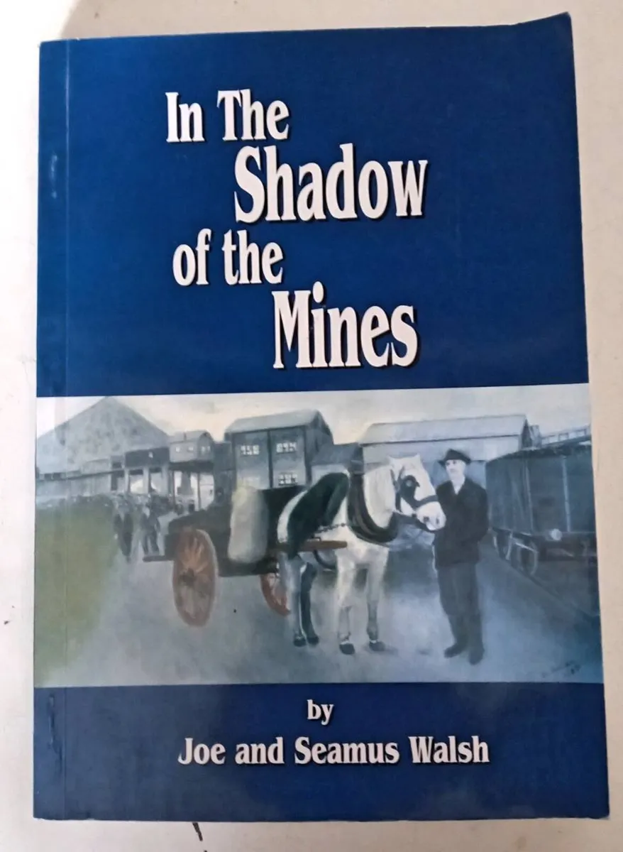 In The Shadows of The Mines Book - Image 1