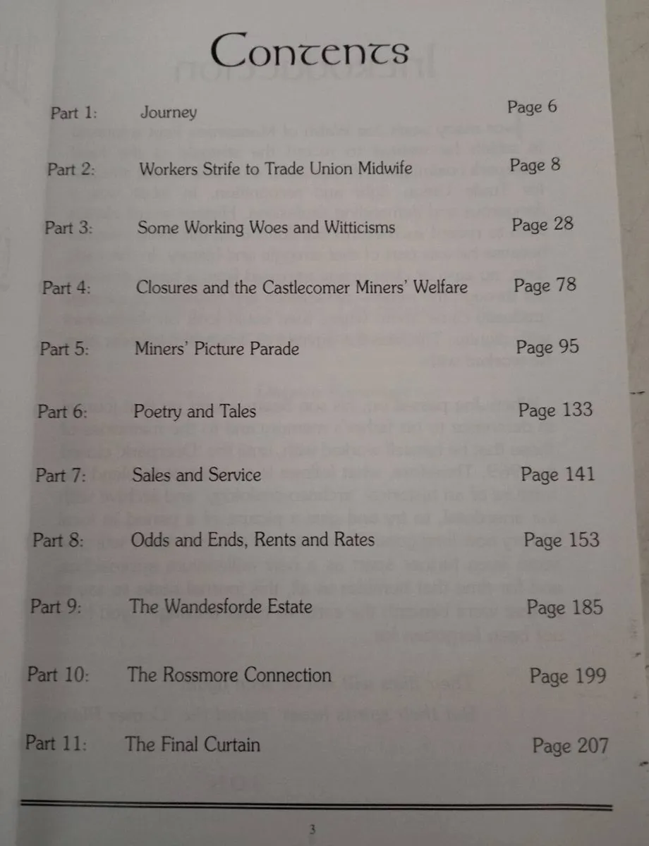 In The Shadows of The Mines Book - Image 2